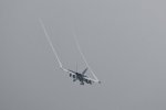 Dcim17898/DSC_3007