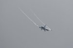 Dcim17898/DSC_3012