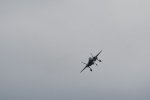 Dcim17899/DSC_3109