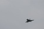 Dcim17900/DSC_3264