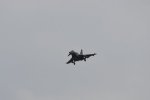 Dcim17900/DSC_3265