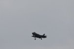 Dcim17900/DSC_3319
