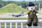 Dcim17902/DSC_3615