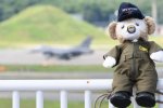 Dcim17902/DSC_3616