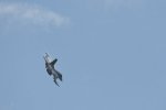 Dcim17904/DSC_3872