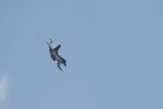 Dcim17904/DSC_3873