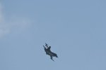 Dcim17904/DSC_3875