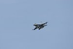 Dcim17904/DSC_3920