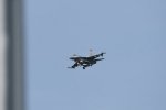 Dcim17904/DSC_3921