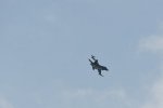 Dcim17904/DSC_3958
