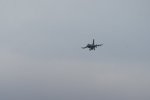 Dcim17905/DSC_3980
