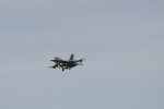 Dcim17905/DSC_4003