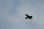 Dcim17905/DSC_4040