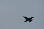Dcim17905/DSC_4042