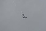 Dcim17906/DSC_4154