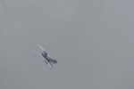 Dcim17906/DSC_4155