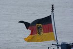 Dcim17932/DSC_2464