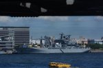 Dcim17932/DSC_2564