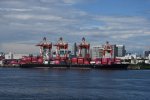 Dcim17933/DSC_7381