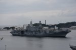 Dcim17943/DSC_8115