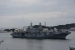 Dcim17943/DSC_8116