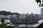 Dcim17943/DSC_8136