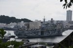 Dcim17943/DSC_8139