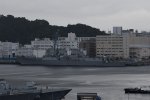 Dcim17943/DSC_8165