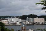 Dcim17944/DSC_8185