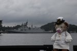 Dcim17944/DSC_8262