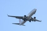 Dcim17945/DSC_3108