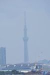 Dcim17945/DSC_3117