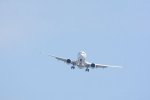Dcim17945/DSC_3134