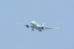 Dcim17945/DSC_3181