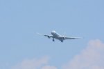 Dcim17947/DSC_3397