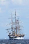 Dcim17947/DSC_3454