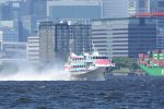 Dcim17948/DSC_3528