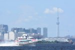 Dcim17948/DSC_3529
