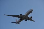 Dcim17949/DSC_8308