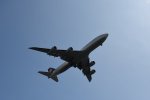Dcim17949/DSC_8316