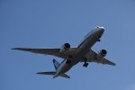 Dcim17949/DSC_8393