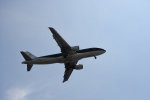 Dcim17950/DSC_8397