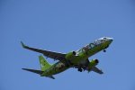 Dcim17950/DSC_8453