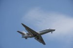 Dcim17950/DSC_8494
