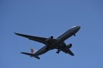 Dcim17951/DSC_8533