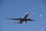 Dcim17951/DSC_8585