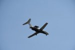 Dcim17951/DSC_8600