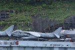 Dcim17959/DSC_4009