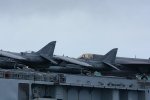 Dcim17959/DSC_4023