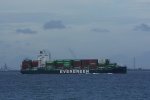 Dcim17962/DSC_4443